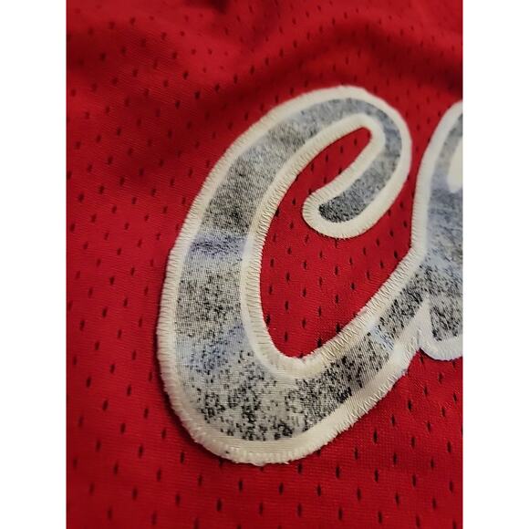 Nike Michael Jordan Chicago Bulls Jersey Mens Size 3XL XXXL NBA Basketball 1984 - Picture 7 of 11